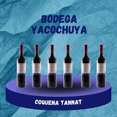 COQUENA TANNAT (CAJA X 6 UNIDADES)