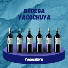 YACOCHUYA MALBEC ( CAJA X 6 UNIDADES )