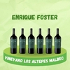 ENRIQUE FOSTER SINGLE VINEYARD LOS ALTEPES MALBEC (CAJA X 6 UNIDADES)