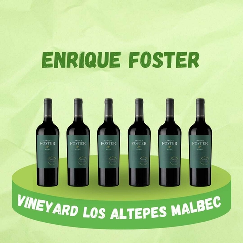 ENRIQUE FOSTER SINGLE VINEYARD LOS ALTEPES MALBEC (CAJA X 6 UNIDADES)