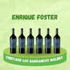 ENRIQUE FOSTER SINGLE VINEYARD LOS BARRANCOS MALBEC (CAJA X 6 UNIDADES)