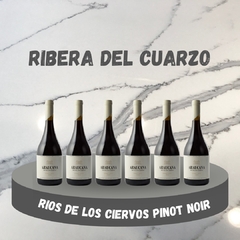 ARAUCANA RIO DE LOS CIERVOS PINOT NOIR (CAJA X 6 UNIDADES)