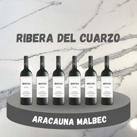 ARAUCANA MALBEC (CAJA X 6 UNIDADES)
