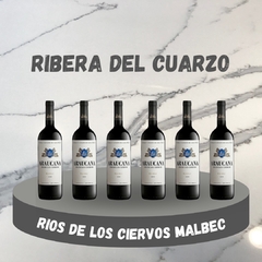 ARAUCANA RIO DE LOS CIERVOS MALBEC ( CAJA X 6 UNIDADES)