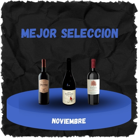 CAJA LA MEJOR SELECCION X 3 VINOS MES DE NOVIEMBRE 2024