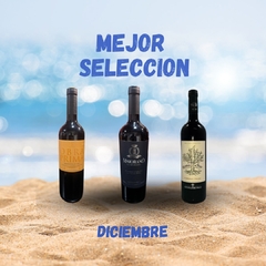 CAJA LA MEJOR SELECCION X 3 VINOS MES DE DICIEMBRE 2024