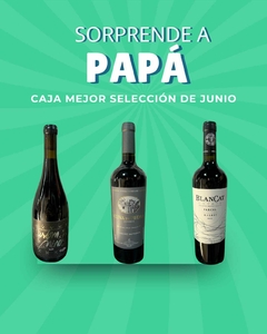CAJA LA MEJOR SELECCION X 3 VINOS MES DE JUNIO 2025 - comprar online
