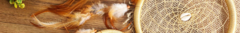 Banner da categoria Filtros dos Sonhos