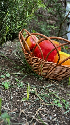 Frutera en internet