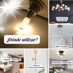 Bombilla Led Halopin G9 5w Blanco Cálido (3000k) / Blanco Frío (6000k) - NOVO CONCEITO BRASIL