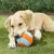 Indoor Ball Chuckit! - MB Pet Toys