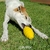 Recheável Colmeia Media - Buddy Toys - comprar online