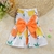 Vestido Fofo para Pets na internet