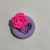 Rosa M