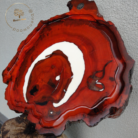 Carrusel Bueno Wood