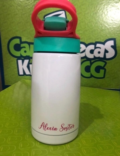 Garrafa Térmica 400 ml - 1 Caricatura - Pix (R$ 130,00) na internet