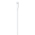 Cabo de USB-C para Lightning (1m) Original Apple na internet
