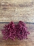 brinco alga feito com miçangas na cor marsala