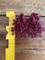 brinco alga feito com miçangas na cor marsala na internet