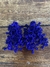 Brinco Alga azul royal