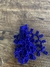 Brinco Alga azul royal