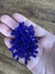 Brinco Alga azul royal