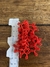 Brinco algas vermelho - comprar online