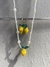 Choker com brincos de limão siciliano