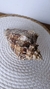 Decorative Shell