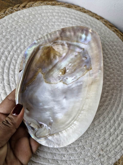 Concha De Madrepérola Natural Defumação Decoração