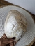 Natural Mother of Pearl Shell Smoking Decoration on internet