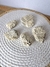 Sea Coral - buy online
