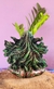 Gaia Goddess Statue - Flowers on internet