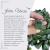 African Jade Crystal - buy online