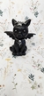 Bat Cat - buy online