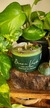 Vela Bruxa Verde - comprar online