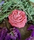 Peony Scented Candle - buy online