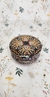 Earth Mandala Candle (Bark and Leaf Scent) - buy online