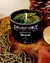 morning candle in the forest
