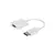 CONVERTIDOR DISPLAY PORT A VGA - comprar online