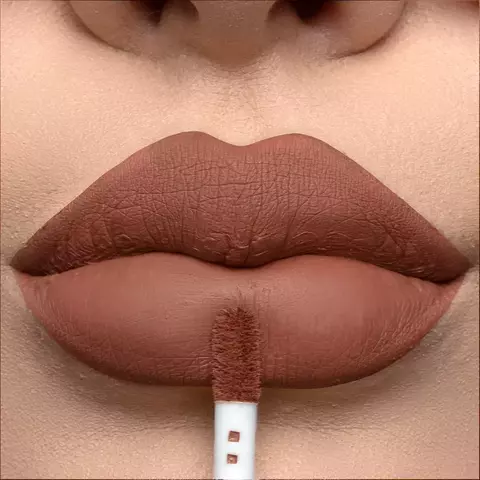 Batom Border Collie - Cor 19