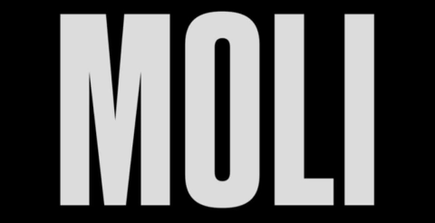Moli Clothing
