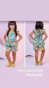 Conjunto quadros