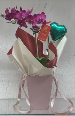Orquídea Púrpura
