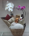 Orquídea Dupla (Branca + Rosa)