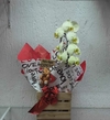Orquídea Amarela