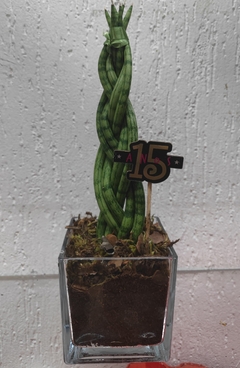 Lança trançada no vaso de vidro