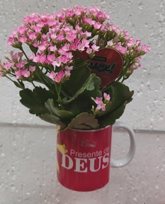 Flor da fortuna rosa na caneca