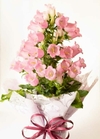Campânula Rosa