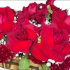Arranjo de rosas colombianas